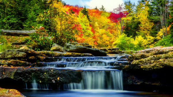 Wallpaper Waterfall, Nature, Between, Trees, Desktop, Autumn, Colorful, Stream, Rock