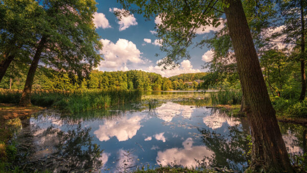 Wallpaper Lake, Cloudy, Desktop, Sky, Reflection, Nature