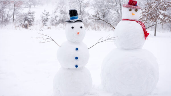 Wallpaper Desktop, Snow, Snowman, Background, Forest