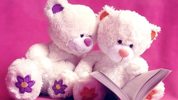 Wallpaper Book, Bear, Bears, With, Pink, Background, Teddy