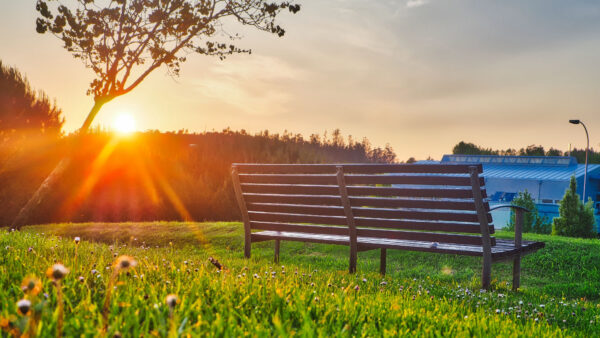 Wallpaper Trees, Grass, Bench, Mobile, Desktop, Field, Green, Mountains, Nature, Sunrays