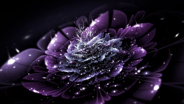 Wallpaper Fractal, Trippy, Flower, Purple, Abstraction, Desktop