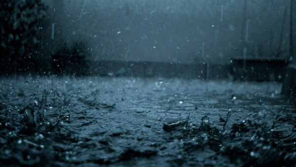 Wallpaper Drops, Rain, Closeup, Background