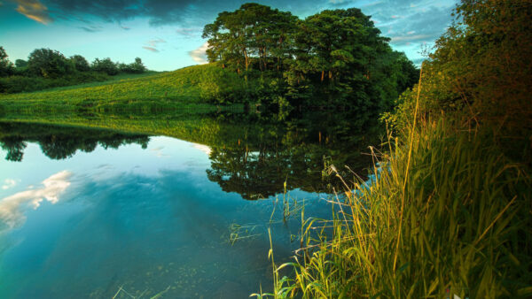 Wallpaper Slope, Bushes, Clouds, Field, Lake, Midday, Trees, Nature, Shadows