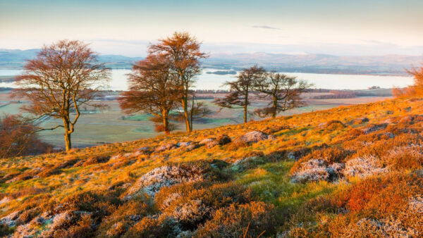Wallpaper Field, Landscape, River, Slope, Fall, Rocks, And, View, Green, Grass, Trees