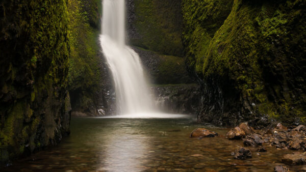 Wallpaper Lake, Rocks, Covered, Algae, Stream, Nature, Waterfall, Stones