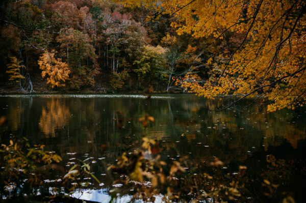 Wallpaper During, Fall, Orange, Reflection, Daytime, Lake, Autumn, Green, Trees, Beautiful, Yellow, Autumn.jpeg