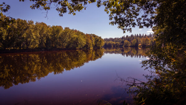 Wallpaper Sunday, River, Landscape