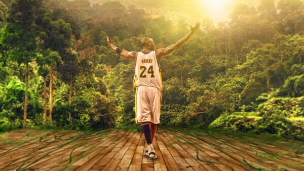 Wallpaper And, Mobile, Bean, Trees, View, Background, Sunbeam, Back, Desktop, Kobe, Bryant, With