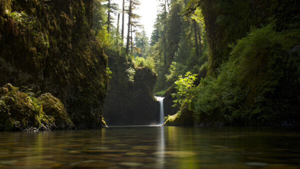 Wallpaper Desktop, Forest, River, Rocks, Mobile, Between, Pouring, Waterfall, Nature