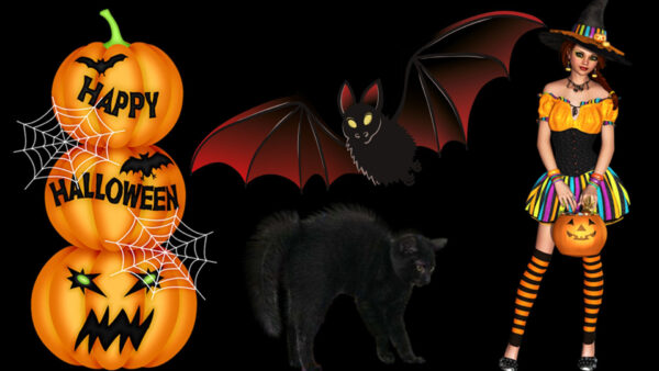 Wallpaper Screen, Halloween, Bat, Desktop, Cat, Happy, Wide, Occasion