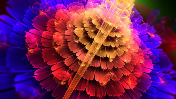 Wallpaper Abstract, Shape, Colorful, Flower, Abstraction