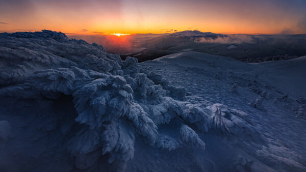 Wallpaper Winter, Sunset, With, Field, Snow, Desktop, During, Fog, Covered, Frozen, Mobile, Mountains, Trees