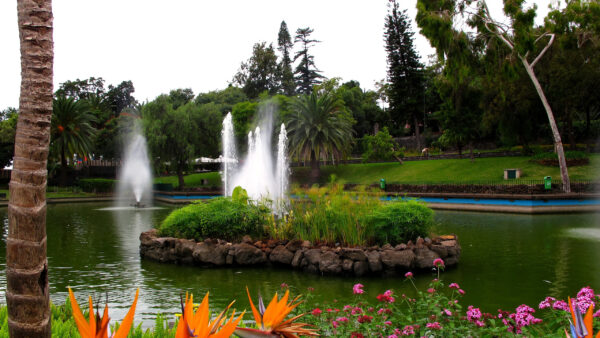 Wallpaper Garden, And, Green, Desktop, Florals, Fountain, With, Trees, Water