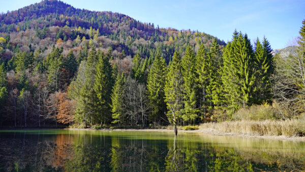 Wallpaper Mobile, Mountain, Slope, Green, River, Autumn, Blue, Trees, Orange, Sky, Desktop, Background, Reflection