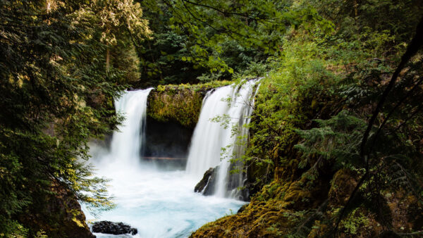 Wallpaper Desktop, Background, Nature, Forest, Green, Bushes, Trees, Mobile, River, Pouring, Waterfalls