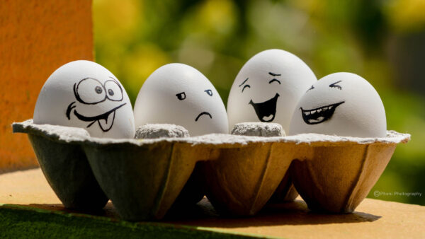Wallpaper Expression, Drawing, Tray, Gray, Eggs, Face, Funny, Background