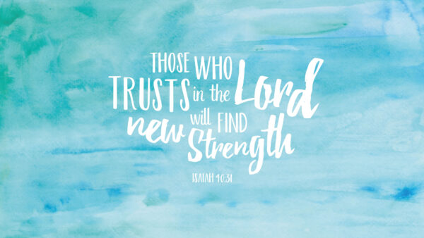 Wallpaper New, Who, Bible, Verse, Find, Will, Trusts, Strength, The, Lord, Those