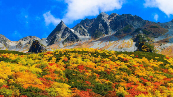 Wallpaper Red, Rocky, White, Landscape, Sky, Mountain, Background, Clouds, Blue, Green, Yellow, Nature, Plants, Peaks, Bushes