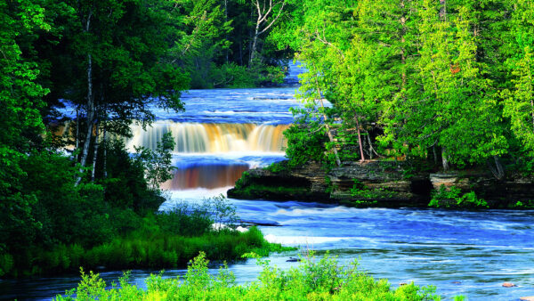 Wallpaper Bushes, Trees, Between, River, Nature, Waterfalls, Green, During, Daytime, Plants, Stream