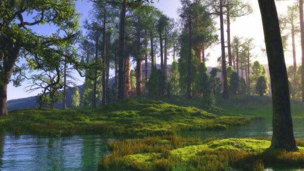 Wallpaper Nature, Plants, Trees, Beautiful, Grass, Green, River, Scenery, Bushes, View