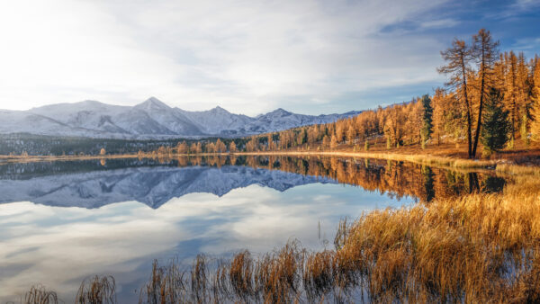 Wallpaper Sky, Clouds, Autumn, Landscape, Trees, Under, View, Snow, And, Blue, Covered, White, Reflection, Yellow, River, Mountains