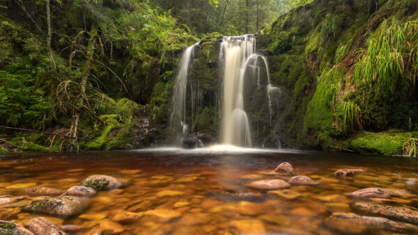 Wallpaper From, Waterfalls, River, Bushes, Rocks, View, Plants, Algae, Landscape, Stones, Nature, Covered