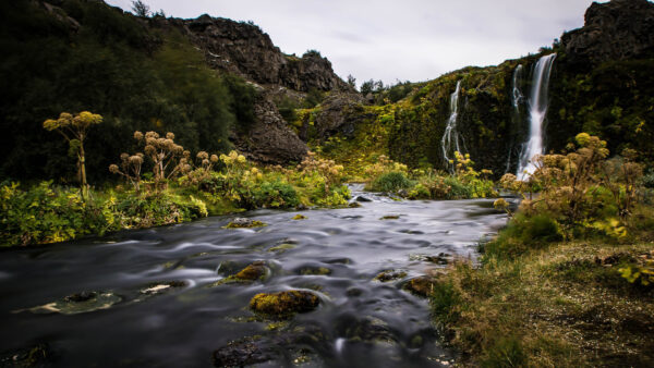 Wallpaper View, Plants, Bushes, From, River, Stream, Nature, Waterfalls, Landscape, Greenery, Rocks