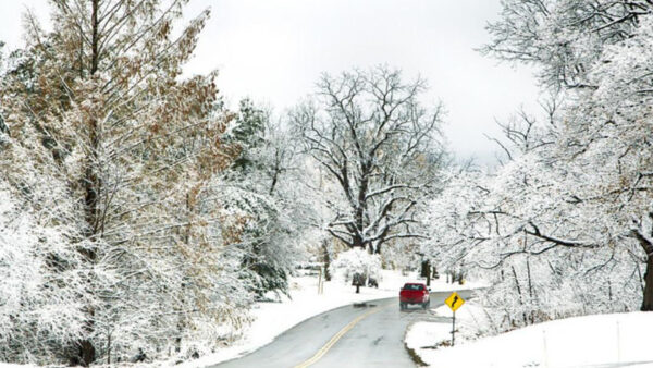 Wallpaper Winter, Branches, Covered, Car, Road, Trees, Snow, White, Sky, Frost, Between, Under