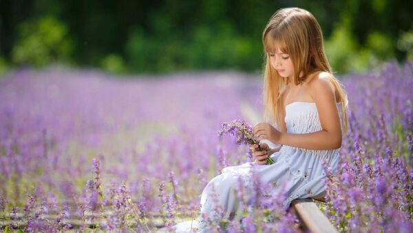 Wallpaper Girl, Sitting, Dress, White, Little, Cute, Flowers, Blur, Field, Background, Wearing, Lavender, Beautiful
