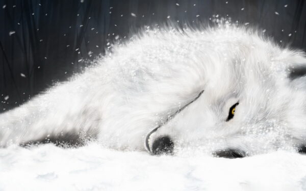 Wallpaper White