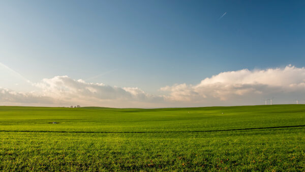 Wallpaper Mountain, Grass, Green, Desktop, Mobile