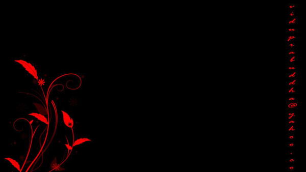 Wallpaper Background, And, Plant, Desktop, Side, Black, Aesthetic, Cool, With, Words, Red, Design