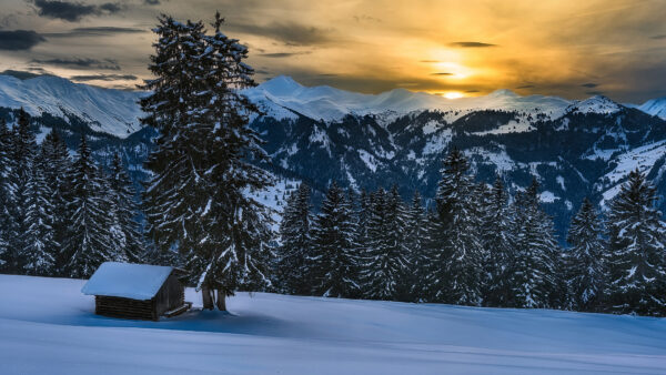 Wallpaper And, Mountains, Desktop, Snow, During, Trees, Nature, Sunset, Covered