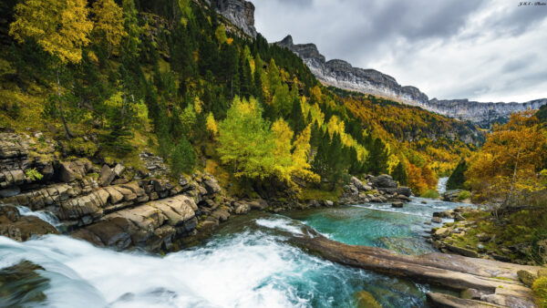 Wallpaper Desktop, Green, White, Trees, Sky, Between, Under, River, Nature, Background, Mountain