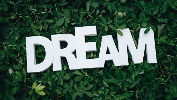 Wallpaper Green, Leaves, Dream, Text, Desktop, With