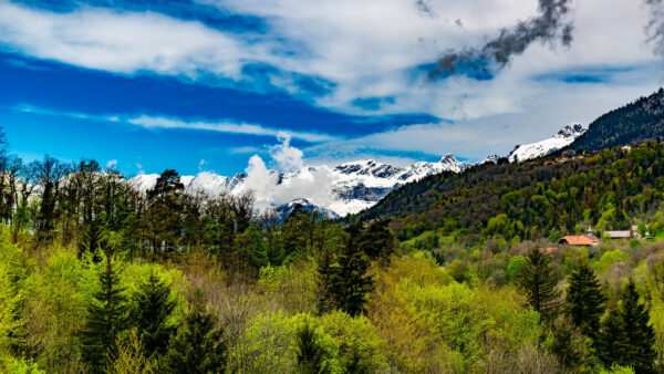 Wallpaper White, Mobile, Trees, Under, Nature, Mountains, Cloudy, Landscape, Desktop, View, Sky, Blue, Covered