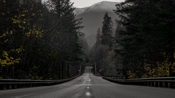 Wallpaper Nature, Trees, Mountain, Green, And, Covered, Forest, Landscape, Road, Between