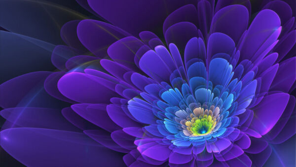 Wallpaper Abstract, Desktop, Fractal, Purple, Flower