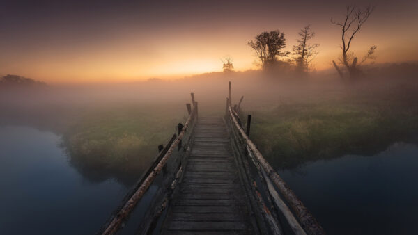 Wallpaper Wood, River, Nature, Between, Fog, With, Bridge