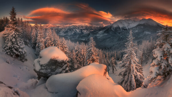 Wallpaper Snow, Winter, Sunset, Forest, Nature, Mountain