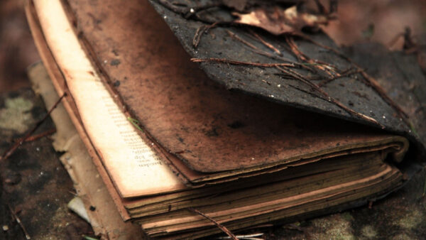 Wallpaper Brown, Burned, Aesthetic, Book
