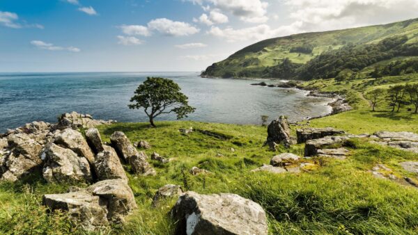 Wallpaper Mobile, Bushes, Ocean, Slope, Desktop, Greenery, Nature, Mountain, Stones, Background, Trees, Grass, Rocks