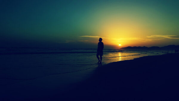 Wallpaper Man, During, Beach, Sunset, Alone, Walking