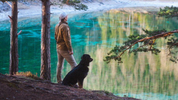 Wallpaper Lake, Dog, Near, Man, With, Standing, Alone