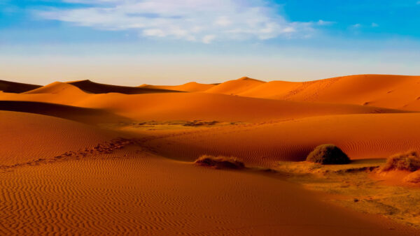 Wallpaper Orange, Desert, Landscape, Sand, Photography