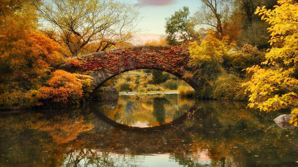 Wallpaper Autumn, Trees, Reflection, Leaves, Colorful, Bridge, Body, Beautiful, Nature, Water