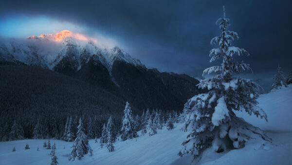 Wallpaper Greenery, Trees, Black, Winter, Clouds, With, Spruce, Frozen, Mountain, Sky, Snow, Under