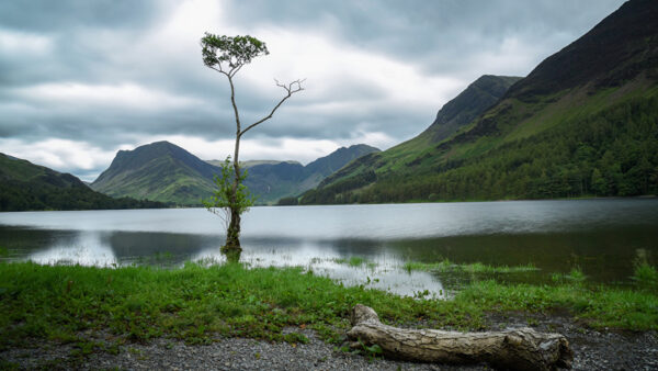 Wallpaper Clouds, Greenery, View, Lake, Under, Mountains, Sky, Wood, Grass, Nature, Landscape, White, Plants, Black