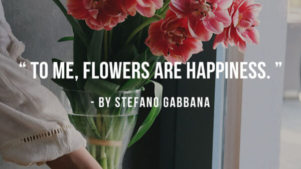 Wallpaper Are, Happiness, Flowers, Inspirational